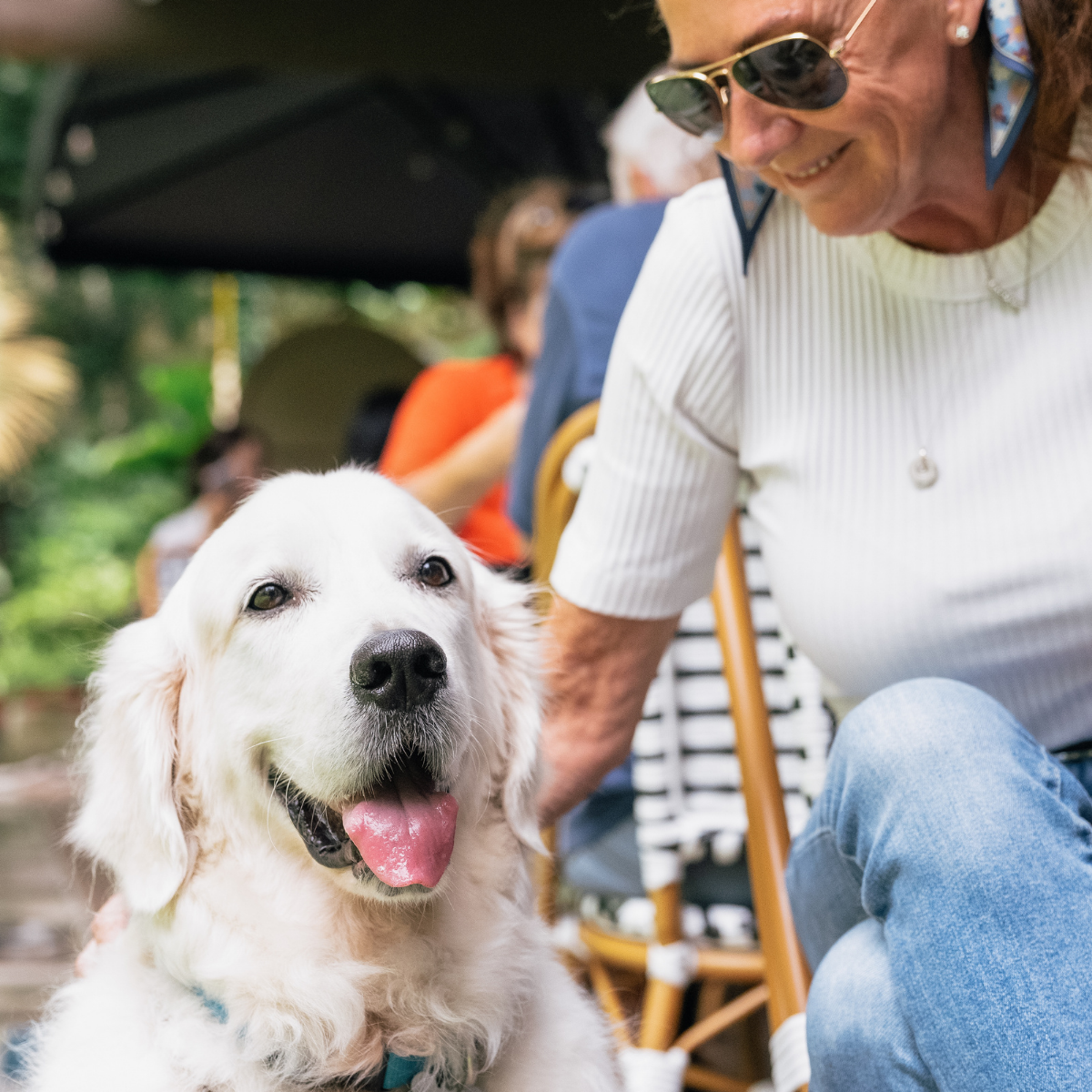 The Garage – Wildseed Café and Il Giardino